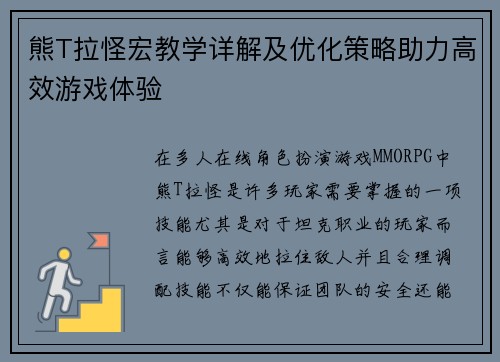 熊T拉怪宏教学详解及优化策略助力高效游戏体验