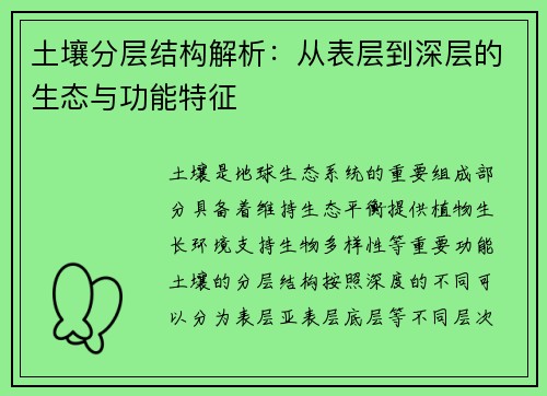 土壤分层结构解析:从表层到深层的生态与功能特征 土壤分层结构解析:从表层到深层的生态与功能特征